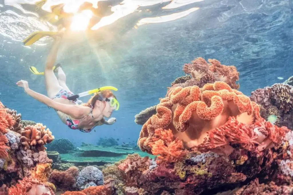 Pesona Menakjubkan Underwater Snorkeling di Terumbu Karang